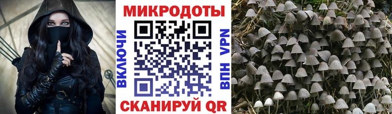 кракен зеркало  Грозный  Галлюциногенные грибы Magic Shrooms 